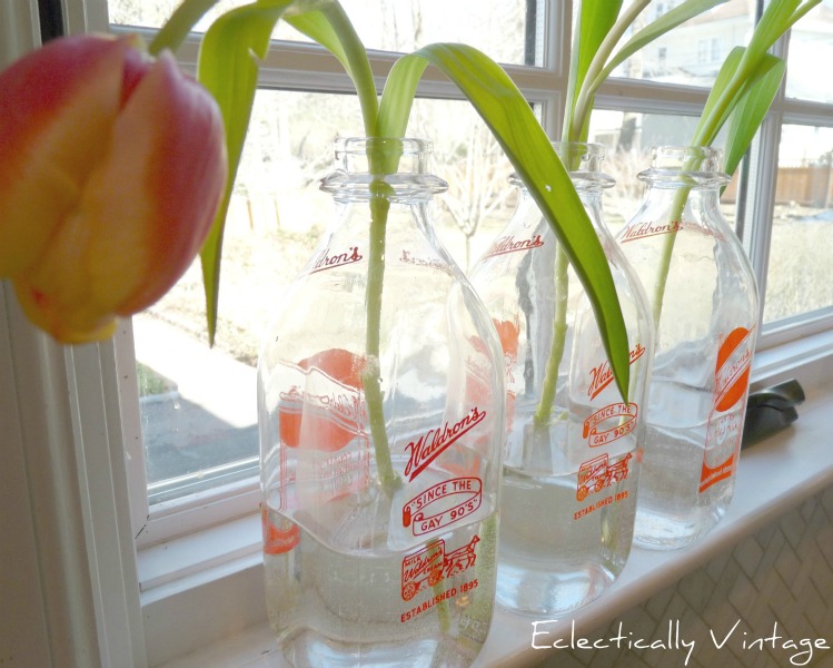 milk bottle vases