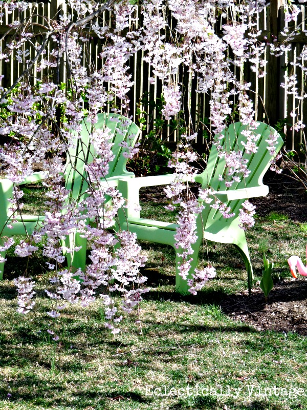 Weeping Cherry Tree - gorgeous in the spring (and more creative gardening ideas kellyelko.com