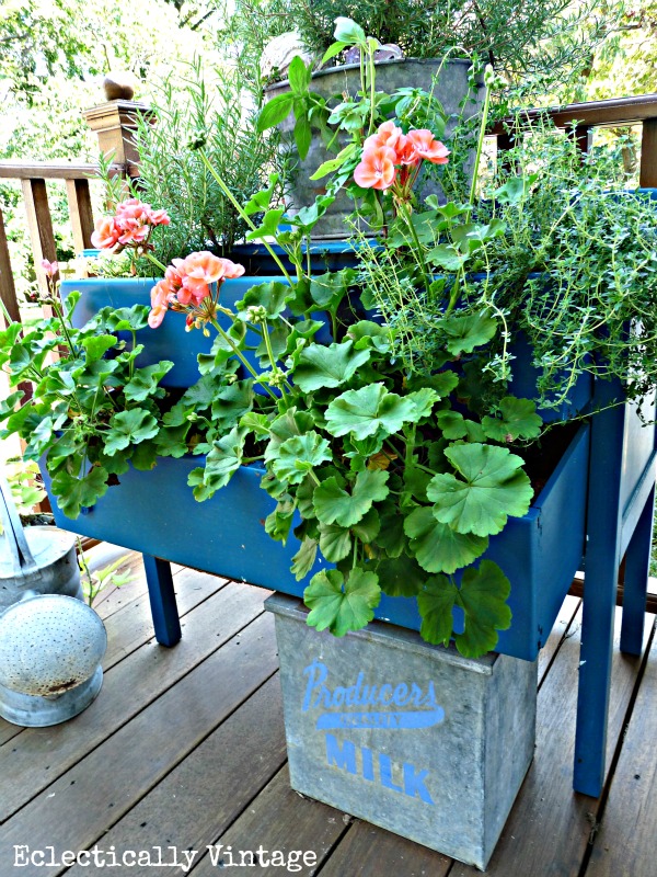 Dresser Planter - such a fun idea for the garden kellyelko.com