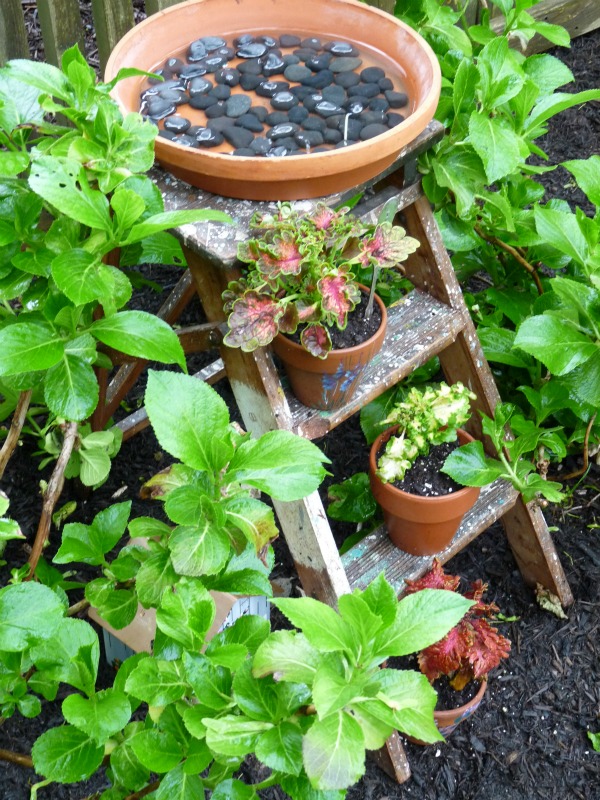 unique garden ideas - make a stepladder birdbath!  kellyelko.com