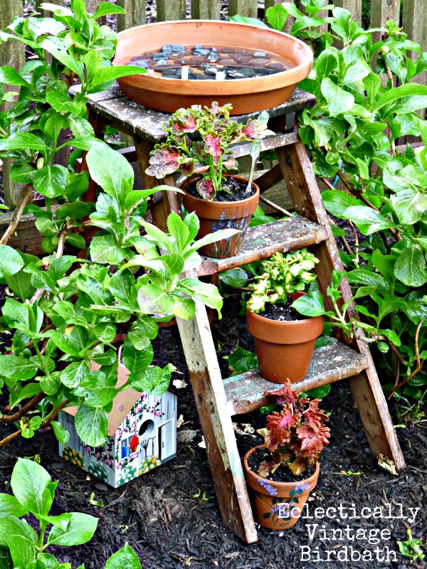 Very unique bird bath idea - stepladder birdbath - this is really for the birds!  kellyelko.com