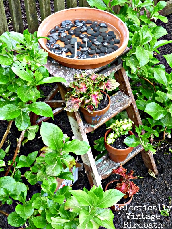 Unique Bird Bath - stepladder birdbath - this is really for the birds!  kellyelko.com