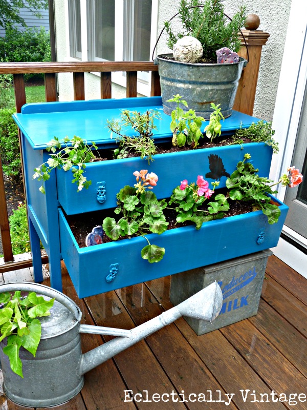 Dress Up Your Plants with a Dresser - create your own dresser planter for a bit of whimsy! kellyelko.com #planter #garden #gardens #gardener #greenthumb #landscape #landscaping #plants #diyideas #outdoors #outdoorideas #upcycle #thrifted #thrifty #repurpose #vintage #vintagedecor #farmhousedecor #kellyelko 