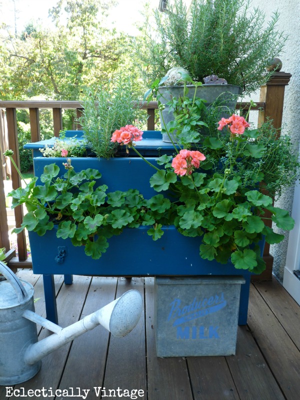 Dress Up Your Plants with a Dresser - create your own dresser planter for a bit of whimsy! kellyelko.com #planter #garden #gardens #gardener #greenthumb #landscape #landscaping #plants #diyideas #outdoors #outdoorideas #upcycle #thrifted #thrifty #repurpose #vintage #vintagedecor #farmhousedecor #kellyelko 