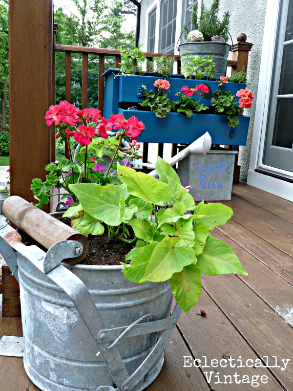 Love this old mop bucket planter kellyelko.com