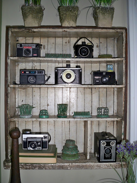 Vintage camera collection - just one of the many unique display ideas in this home kellyelko.com