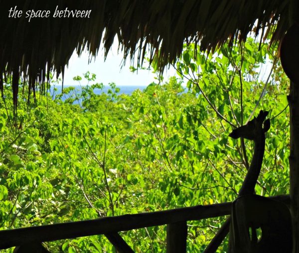 Curacao Treehouse View