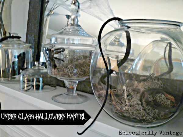 Under Glass Halloween Mantel Ideas - this is creepy crawly!  kellyelko.com