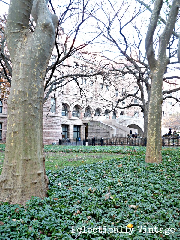 Museum of Natural History - Macy's Thanksgiving Day Parade