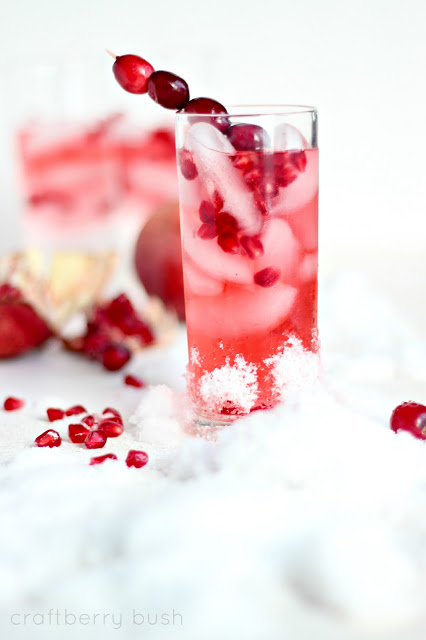 Cranberry & Pomegranate Cocktail/Mocktail