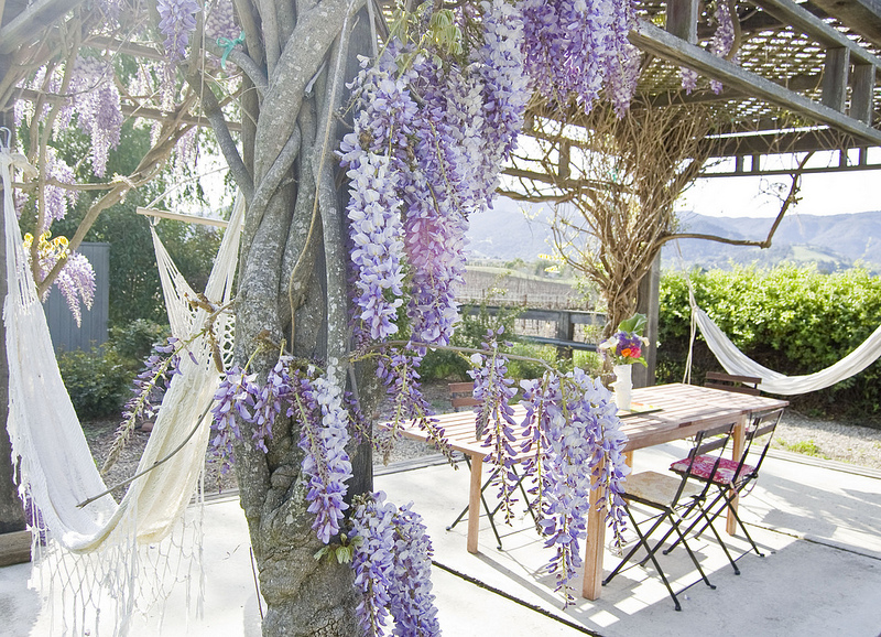 Wisteria covered pergola with a view - tour this fun California cottage kellyelko.com