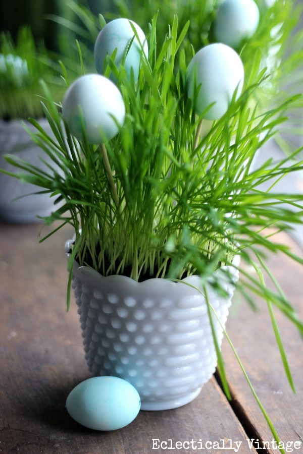 Grow Your Own Spring Centerpiece www.kellyelko.com