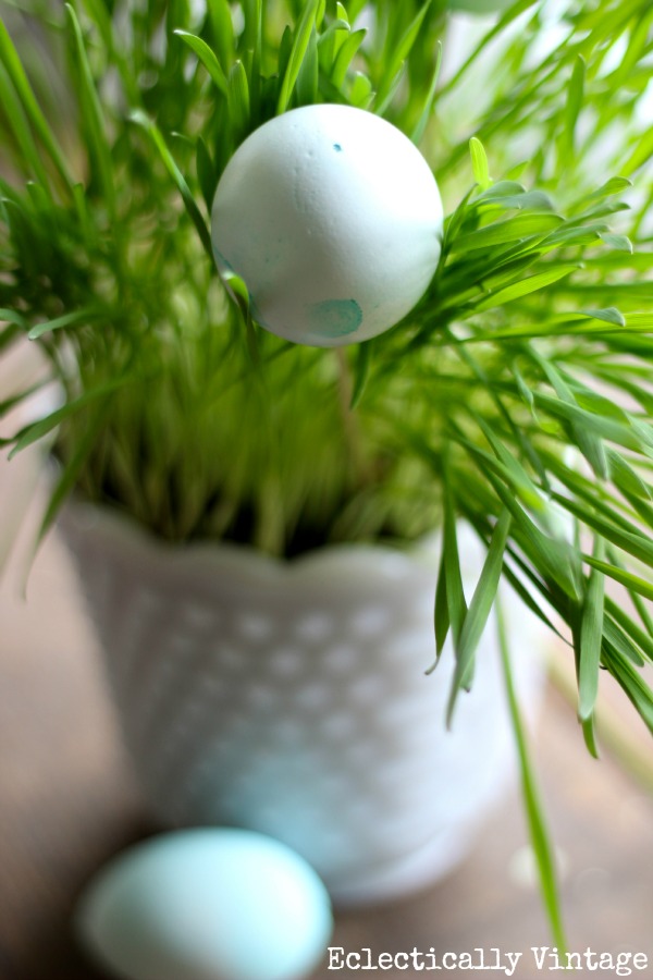 Grow a Wheat Grass Centerpiece for Easter: An Easy Spring Decorating Idea &  Fun Craft for Kids, DIY