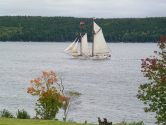 Cottage tour with an amazing view!