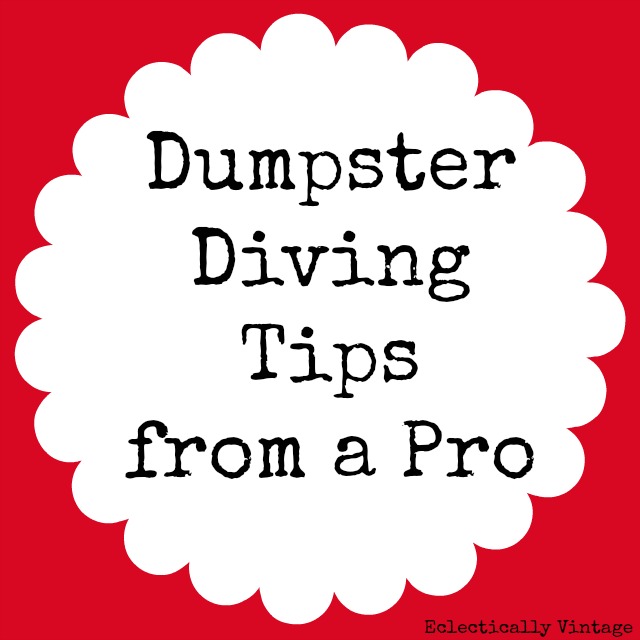 Insider Secrets, Tips, and Dumpster Diving Advice at Harbor