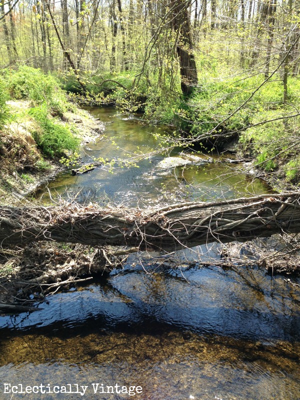 Eclectically Vintage My Week That Was nature stream woods outdoors