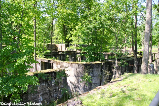 Duke Farms Hillsborough NJ - a great way to spend a day in the country