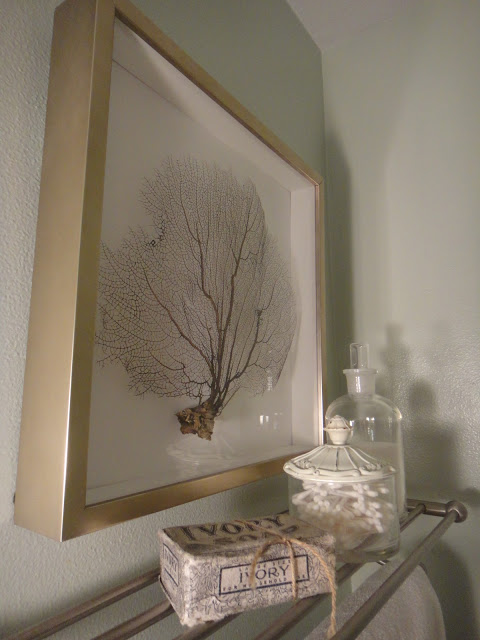 DIY Framed Sea Fan - instant art