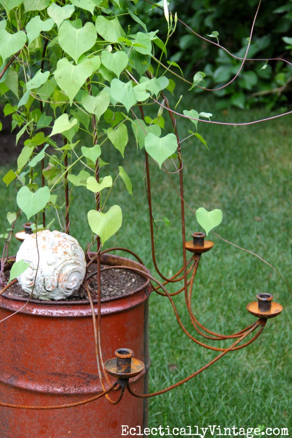 Get creative - giant candle holder as garden trellis.  One of many unique planters at kellyelko.com