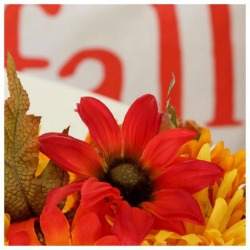 Fun Fall Decor Ideas