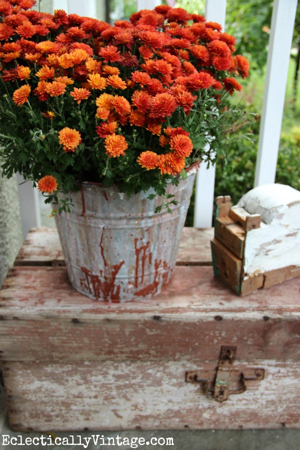 Vintage finds on a #fall porch kellyelko.com