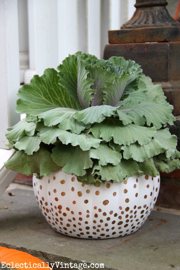 #Pumpkin Planter - see more of this fun #fall porch kellyelko.com