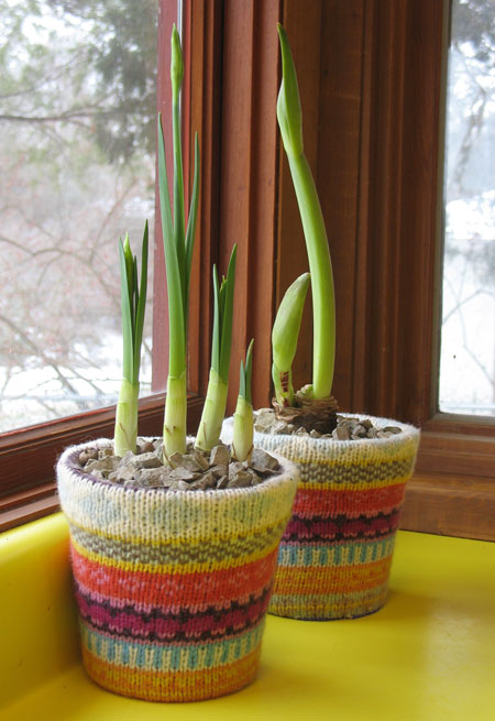 Sweater flowerpots