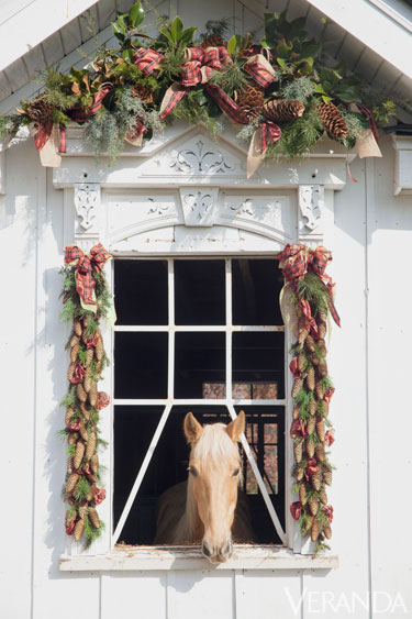 Renovated barn and a Tennessee walking horse