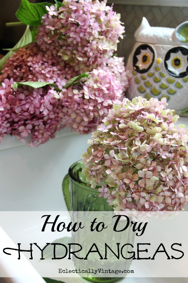 How to dry hydrangeas kellyelko.com