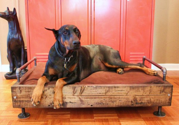 Make an industrial dog bed! kellyelko.com