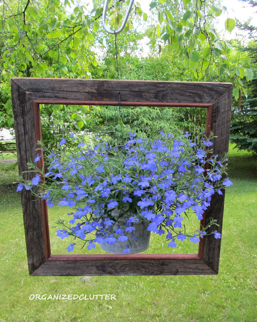 Framed planter kellyelko.com