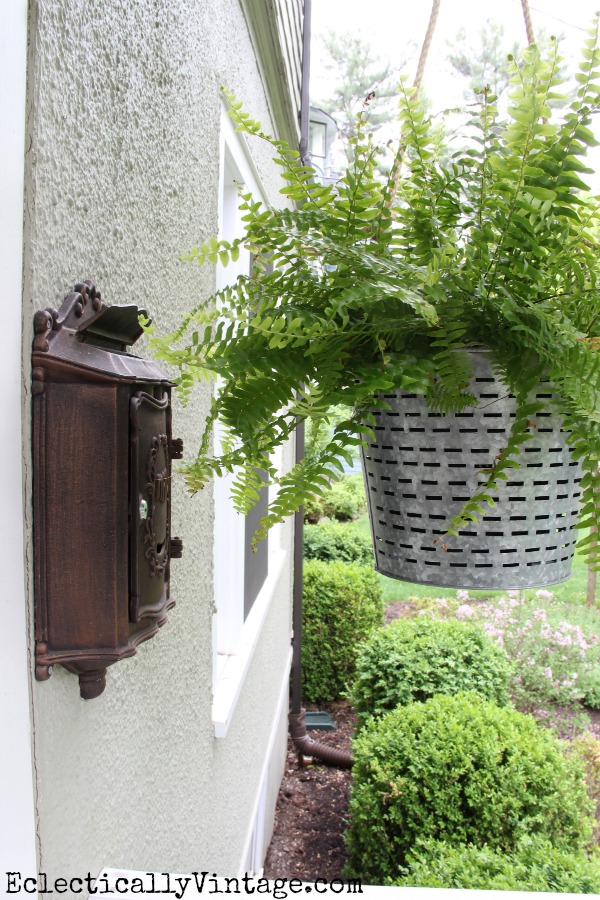 Hanging porch ferns in olive bucket planters - one of the many unique planter ideas on this site! kellyelko.com