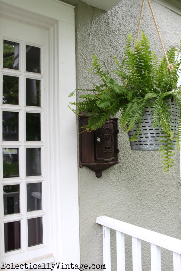 Porch ferns - such a fun hanging planter kellyelko.com