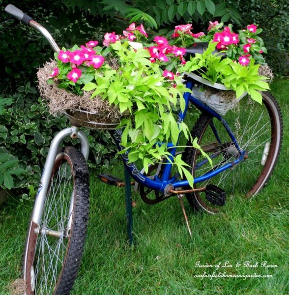 Bicycle planter - one of the many unique ideas in this garden kellyelko.com