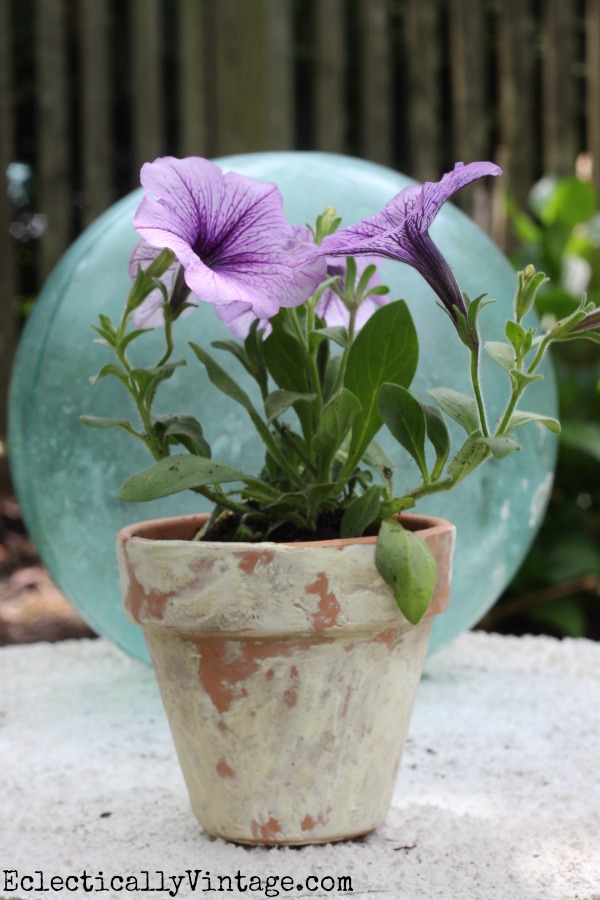 How to age terra cotta pots - takes just minutes! kellyelko.com