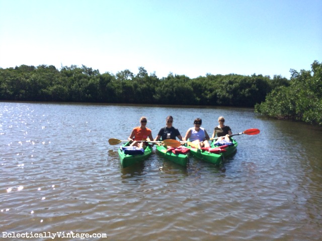 Kayak Tour Anna Maria Island Florida kellyelko.com