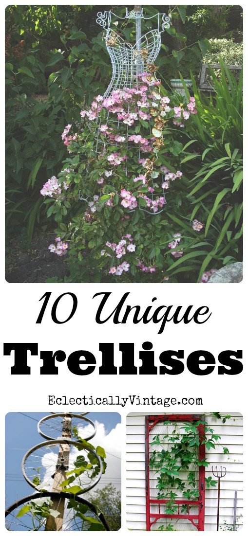 10 Unique Trellis Ideas kellyelko.com