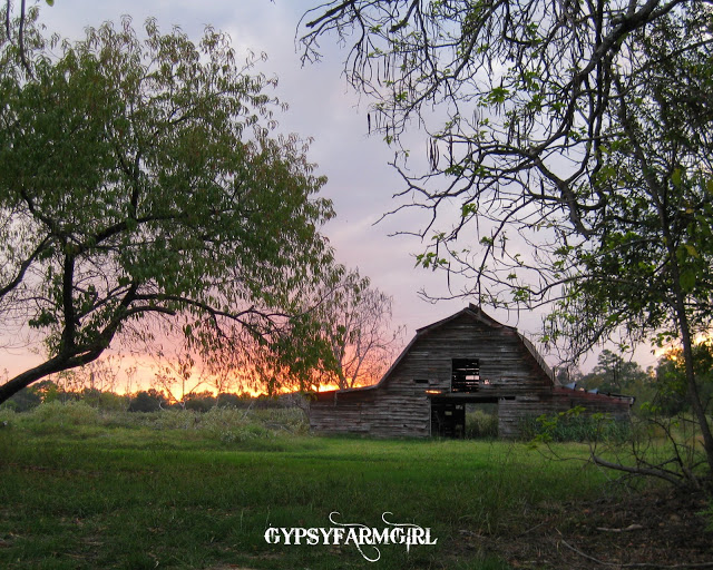 Gorgeous barn and garden tour of Gypsy Farm Girl kellyelko.com