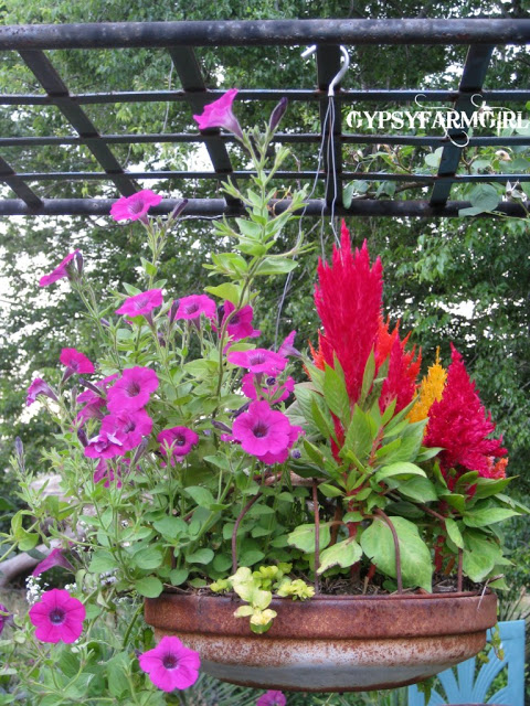 Chicken feeder hanging planter - one of the many upcycled ideas in this garden tour kellyelko.com