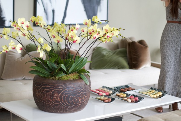 Gorgeous coffee table orchid kellyelko.com