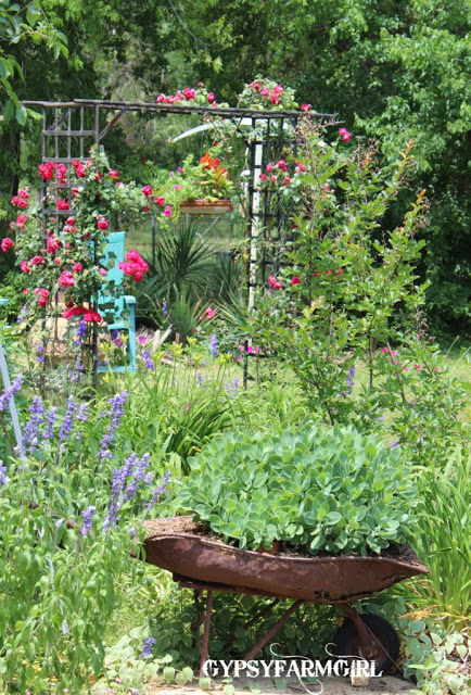 Love this garden tour with unique ideas like a wheelbarrow planter kellyelko.com