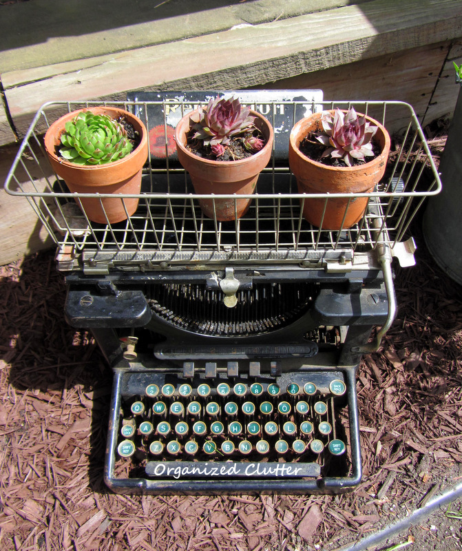 Vintage typewriter planter - one of the unique ideas in this garden kellyelko.com