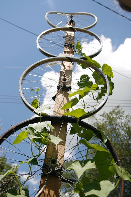 Bike wheel trellis - one of 10 unusual trellises kellyelko.com