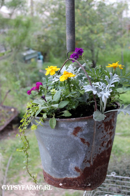 Galvanized bucket planter ecleticallyvintage.com