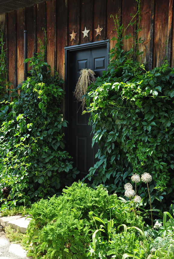 Climbing vines and charming garden tour kellyelko.com