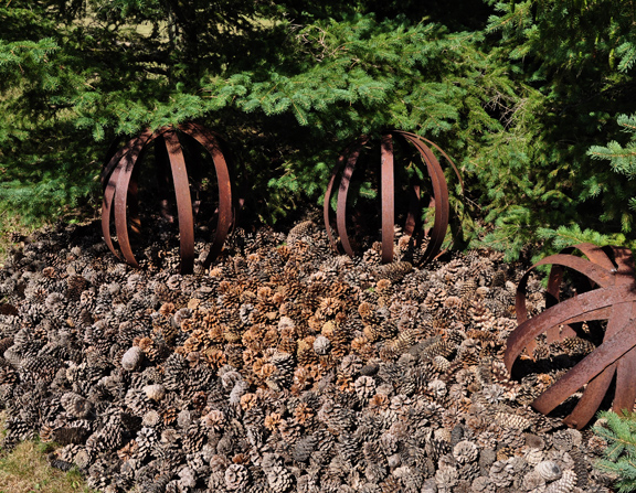 Pine cone mulch - one of the many creative ideas on this garden tour kellyelko.com