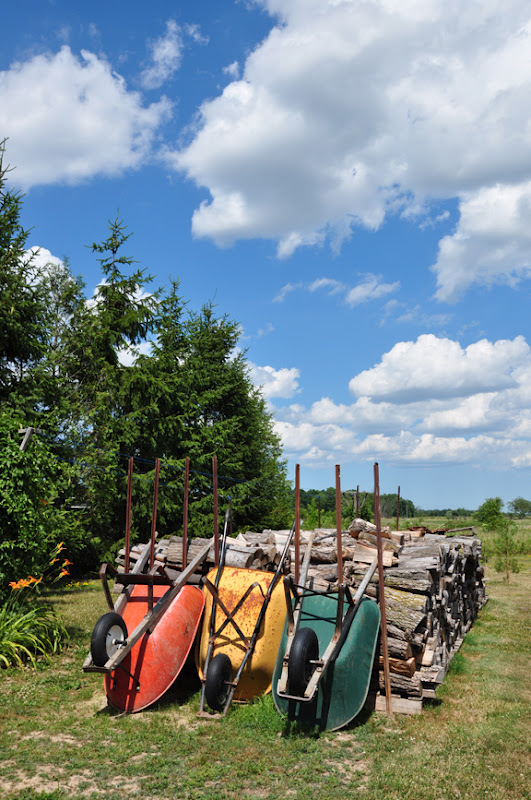 Creative garden tour - love the colorful wheelbarrows kellyelko.com