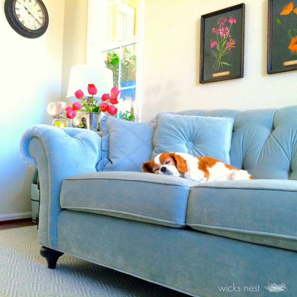 Love this cozy blue tufted sofa kellyelko.com