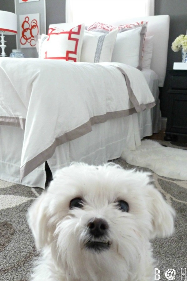 Beautiful bedroom - love the dark wall color with the white bedding kellyelko.com