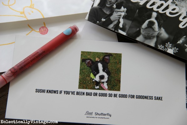 Have fun with your holiday cards with these family photo taking tips kellyelko.com